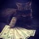 10 Bandz Single