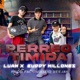 Perreo Timida feat Buddy Millonee facunditoo deejay Single