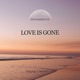 Love Is Gone Single
