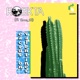 Cactus on Valentine s feat Braz OS Single