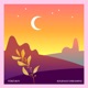 Solidago Dreaming Single
