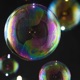 bubbles feat Limbowithnell Single