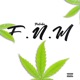F N M Single