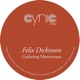 Gathering Momentum Single