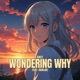 wondering why feat Ramjoe Single