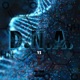 DNA Single
