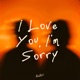 I Love You I m Sorry Single