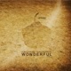 Wonderful Single