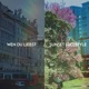 wen du liebst sunset freestyle EP