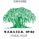 Dark Haze Single