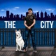 The City