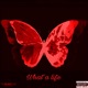 What a Life Deluxe