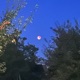 redmoon Single