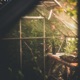Garden View Single