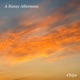 A Sunny Afternoon