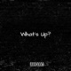 What s Up Single