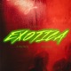 Exotica Spanish Version Single