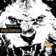 Insomnia Single