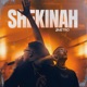 Shekinah Ao Vivo Single