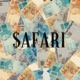 Safari feat NoNi I D R Single