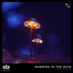 Running in the Rain Single