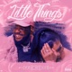 Little Things Single