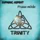 Trinity feat Praise m0de Single