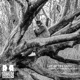 Lay of the Land EP