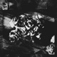 SELF IMMOLATION feat Kaiju Soup elitimesfour Single