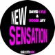 New Sensation Single