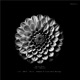 9 Mois Remixes EP