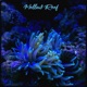 Mellow Reef feat Gatz2Gatz Single