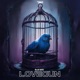 Blue Bird Single
