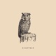 Disappear Single