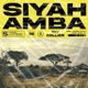 Siyahamba feat Tylynn Sy 1 Single