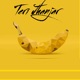 Teri Jhanjar Single