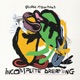 Incomplete Dreaming Single