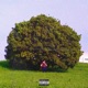 Imashikanai Single