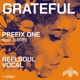 Grateful Reelsoul Remixes Single