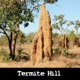 Termite Hill