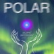POLAR Single
