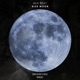 Blue Moon Single