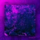 Forest Single