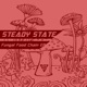 Fungal Food Chain Single