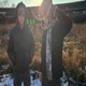 stromy Single