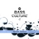 Nemesis Bass Culture 4 Single