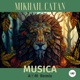 Musica AVM Remix Single