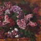 Flori de Liliac Single