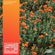 Your Love Is Simple Chris Howland Remix Single