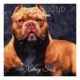 Indian Hound feat Divine Single